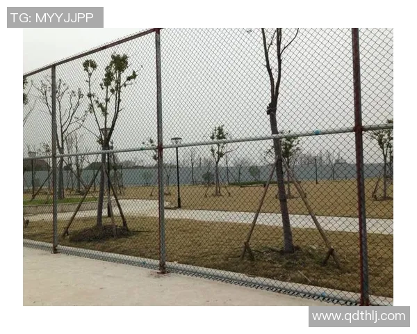 专业解读:广州网球队的包夹打法 专业解读:广州网球队的包夹打法