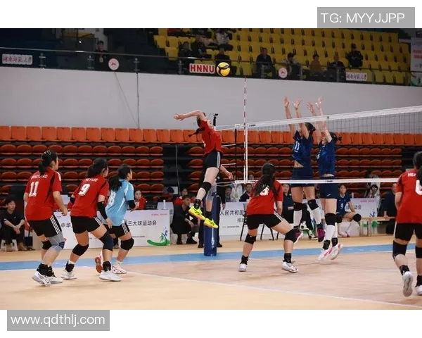 赛后复盘：广州排球队 vs 重庆排球队的灵活性